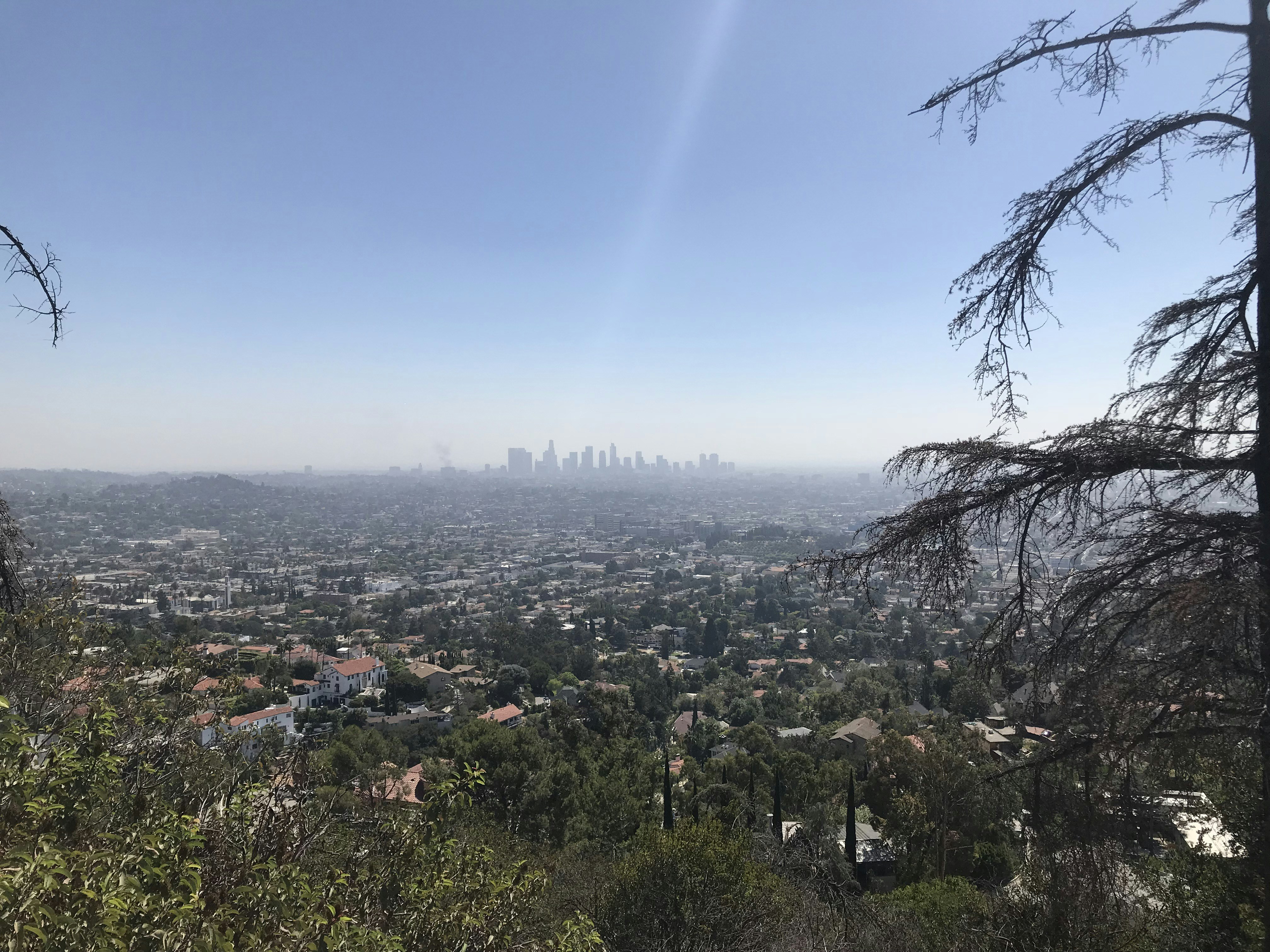 Los Angeles Skyscraper | Convert your web apps into apps – check out our profile! \u003c3